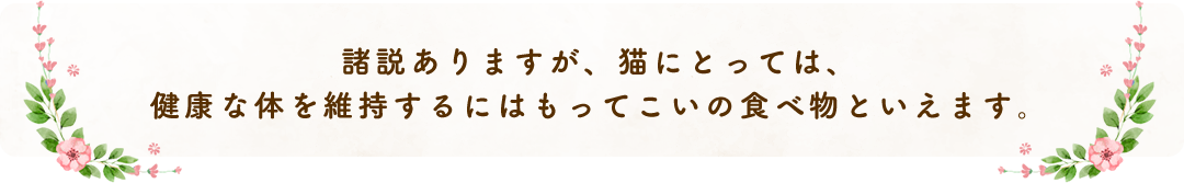 諸説ありますが、猫にとっては、健康な体を維持するにはもってこいの食べ物といえます。